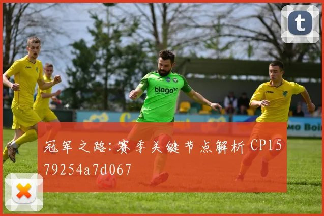 冠军之路:赛季关键节点解析 CP1579254a7d067
