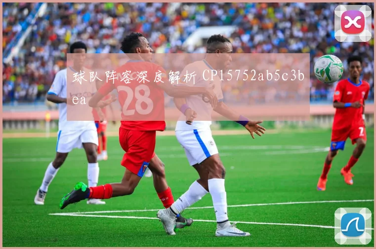 球队阵容深度解析 CP15752ab5c3bea